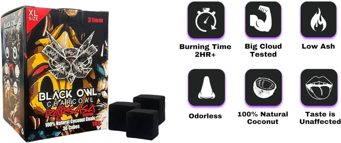 بلاك آول راكساسا 31 مم مقاس XL فحمي 1 كجم