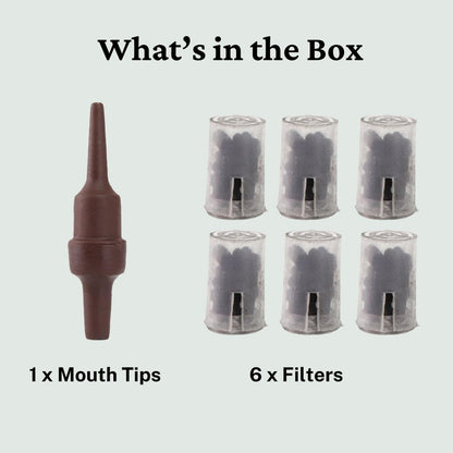 Egyptian Hookah Filter Tar Reducer